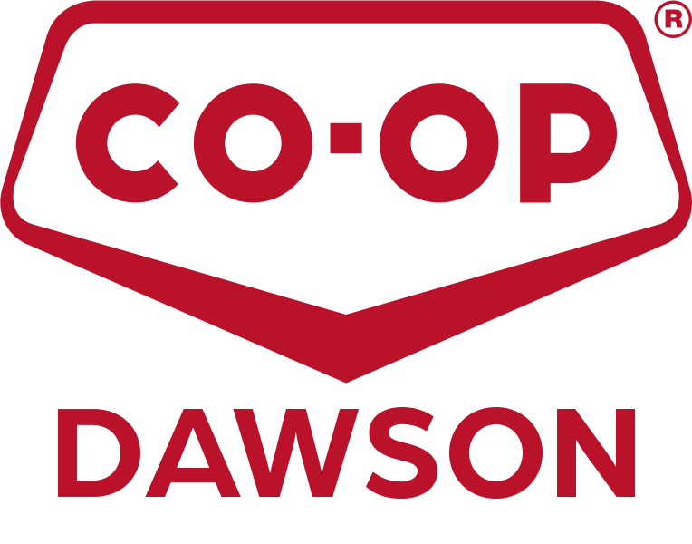 red shield dawson